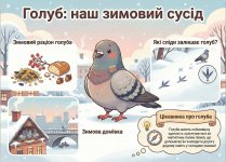 ���� �����: �� ����� ������ ������