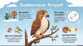 ���� �����: �� ����� ������ ������