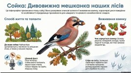 ���� �����: �� ����� ������ ������