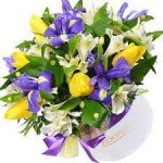 ²�����! ²�����! ²�����!