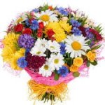 ²�����! ²�����! ²�����!