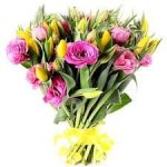 ²�����! ²�����! ²�����!